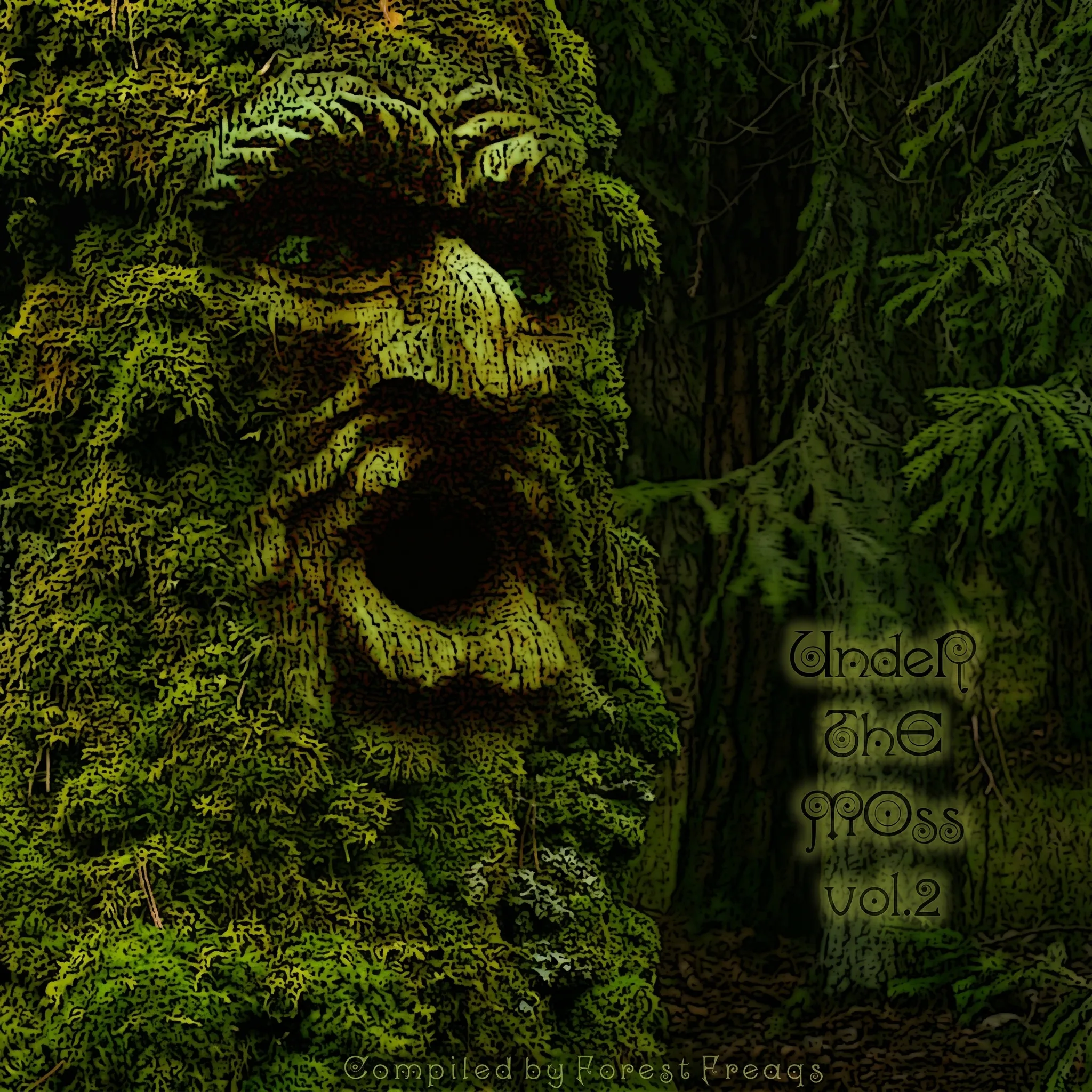 Cover art for VA — Under The Moss Vol.2 by Various Artists